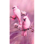 The chatter birdies