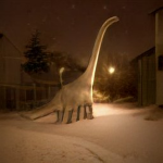midwinter'