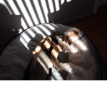Bailey and remy