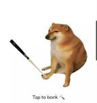 Dogs are the best clan