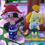 pocket camp