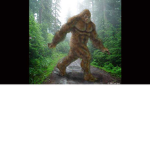 finding bigfoot for fun