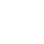 BraceGames Studio