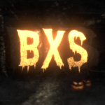 BrnX Store