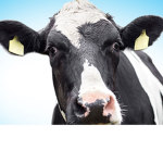 mooO000Oo