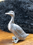 The silver ducklings