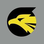 [JP] 306 Tactical Squadron