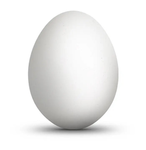 Egg raid mods