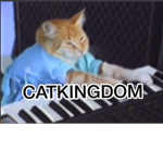 CatKingdom