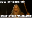 SAY NO TO THE BEAVER
