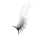Worm 豸