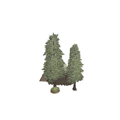 Forest Diorama