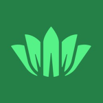CreativeCorp | Design Services