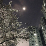 STAROFMYLIFE123
