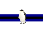 Union Of Penguins