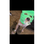 Jake from