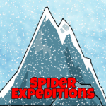 Spider Expeditions