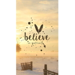 Achiever Believers
