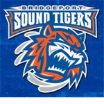 ~PGHL Sound Tigers~