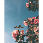 <>siilvermxoon<>
