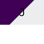 JOYOUS CLOTHING