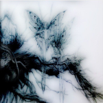 GHOST GALLERY