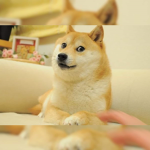 Doge Chill Group