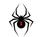 Arachnid Pirates