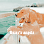 daisys angels <3