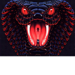 Red Corbas Organization