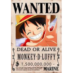 Monkey.D.Luffy SQUAD