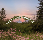 appealing apparel~