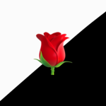 The DarkSide Roses