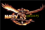 Navy strikers