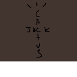 Cactus Jack Store