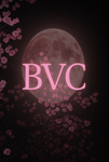 BLACK VEIN CARTEL