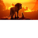Leo's Paradise!
