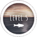 Reached Level 5