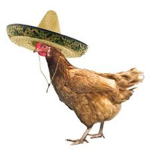 THE YOLO CHICKEN ARMY