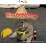 Please help a sloth because they are all in danger