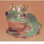 Froggi power