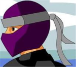 The PurplePhlox Ninjas