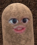 (:…………BŁẼĦĦ……… :)