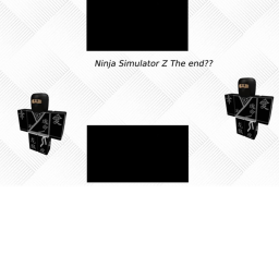 Ninja Simulator Z