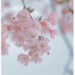 Spring vibes!