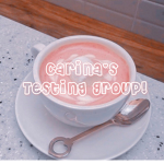 Carina's Testing Group
