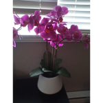 Flowers group<3