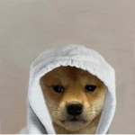 Doge with doges