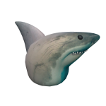 Realistic Shark Head 🦈
