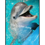 ~The dolphin army~